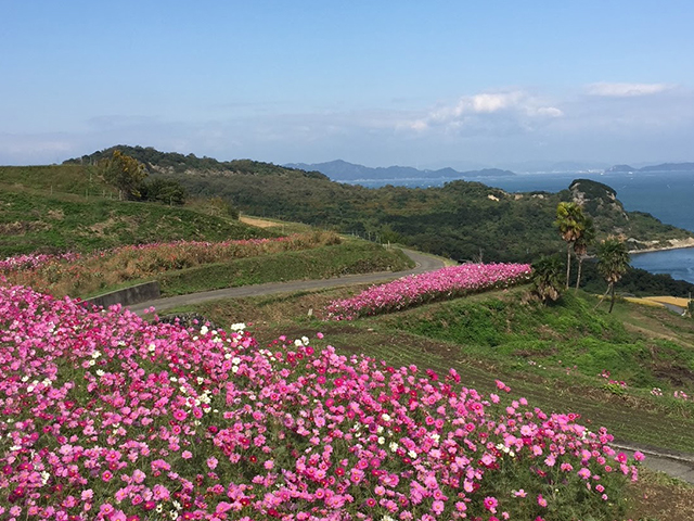 民宿かもめ