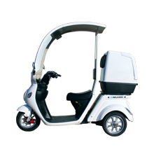 公道走行可能な電動キックボード BLAZE EV SCOOTER（ブレイズEV 