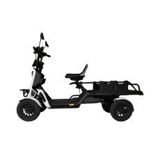 SMART EV 特定原付