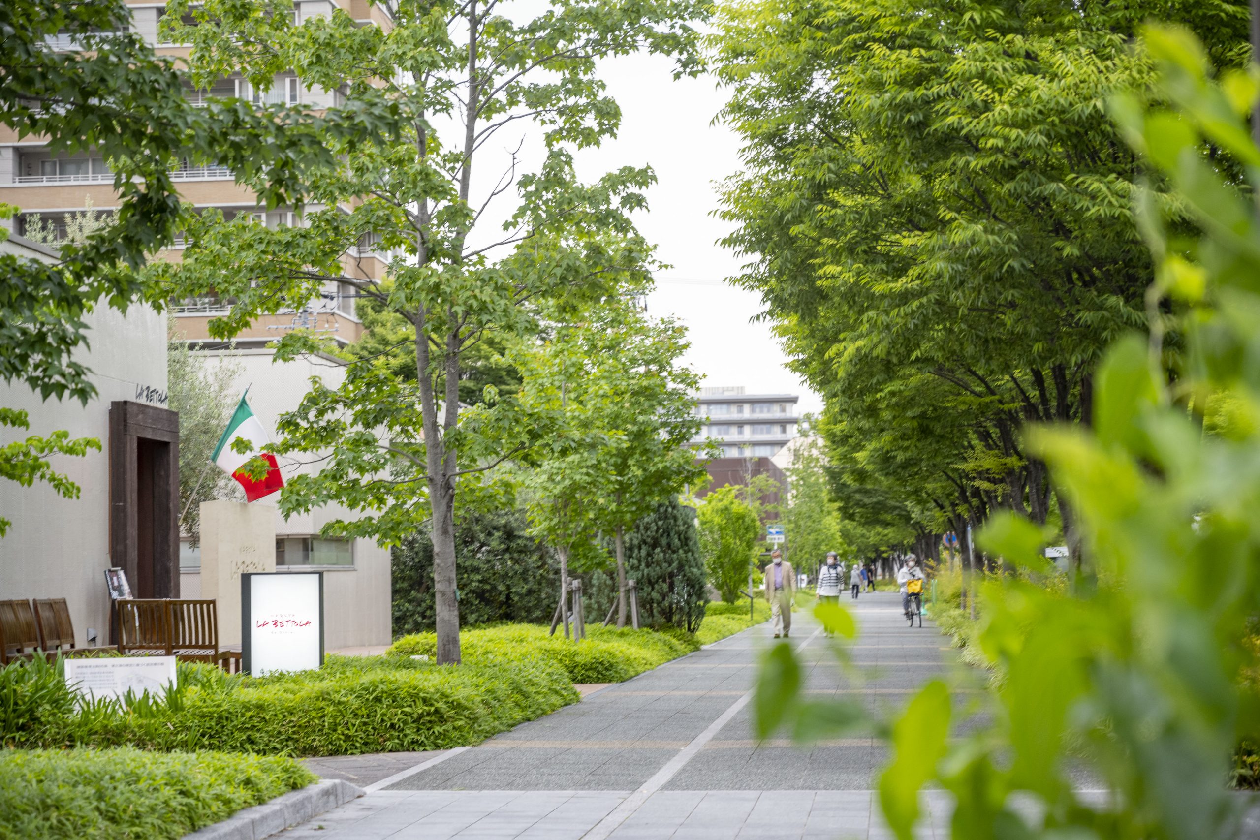 街並み-scaled.jpg