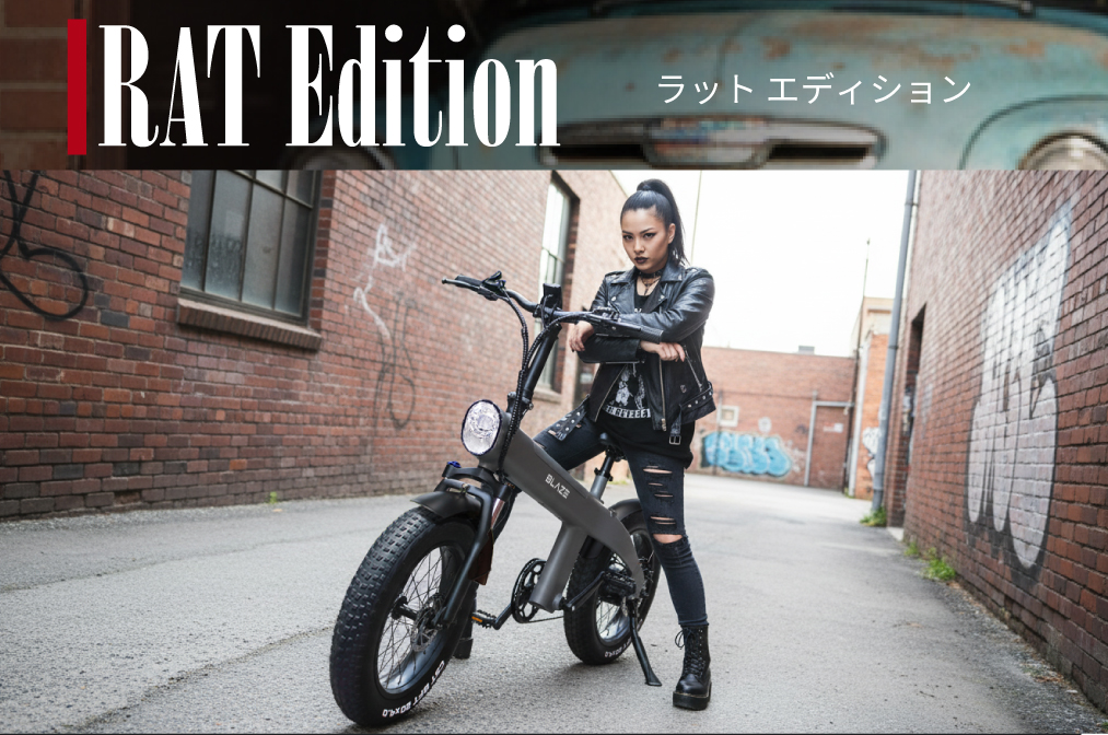 Style e-Bike スタイル e-バイク ブレイズ BLAZE E-BIKE　ファットバイク　電動アシスト自転車
