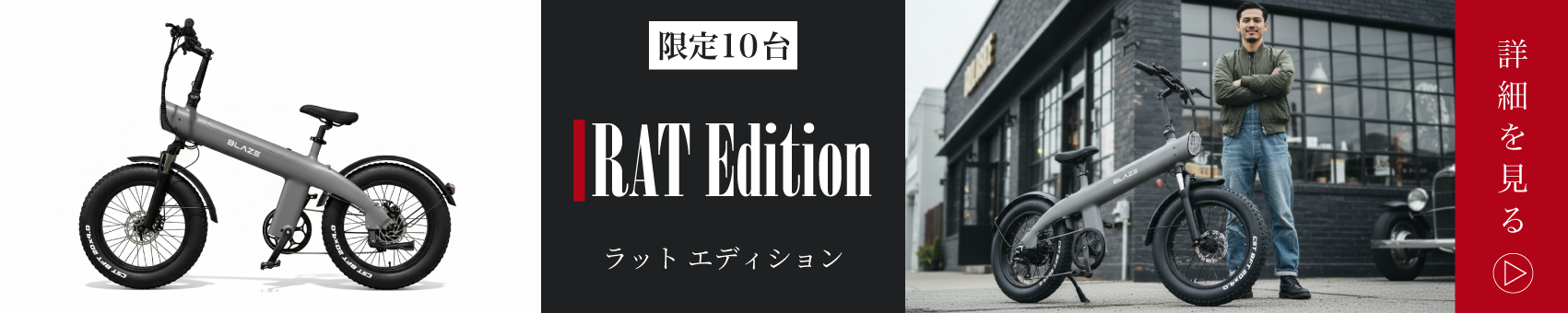 Style e-Bike スタイル e-バイク ブレイズ BLAZE E-BIKE　ファットバイク　電動アシスト自転車