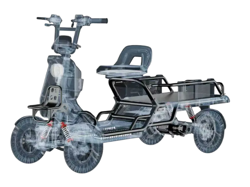  内部構造 透視図