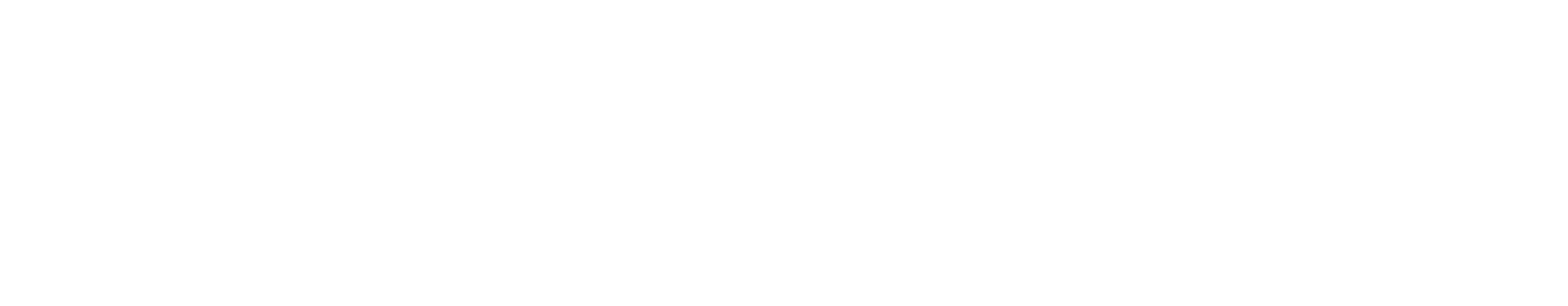 EV SCOOTER