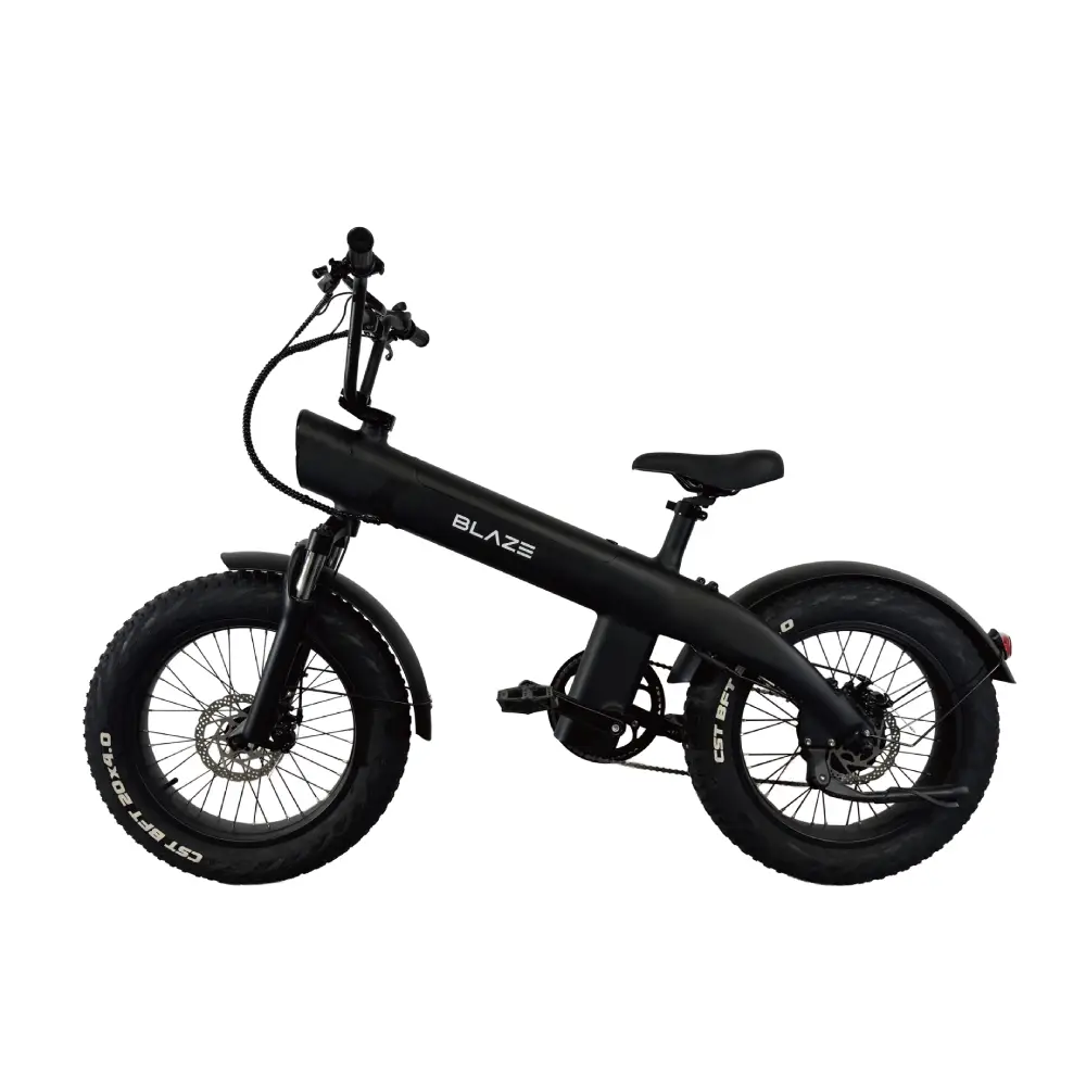 BLAZE 電動アシスト自転車 マルーン BLAZE STYLE E-BIKE（ブレイズ